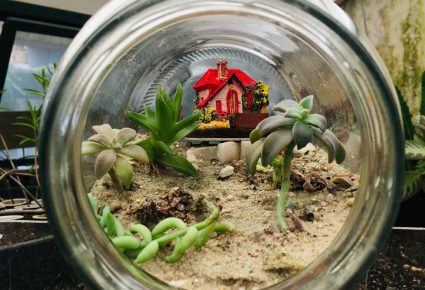 Artigo Embargo ou demolição? Você não pode correr esses riscos