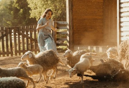 Artigo Imóvel rural, quais cuidados devo ter ao adquirir?