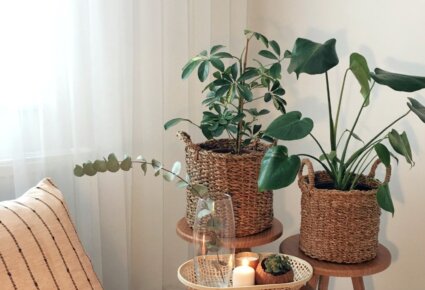 Artigo Home Stage – Inovação Imobiliária