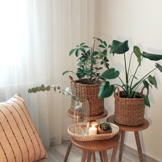 Artigo Home Stage – Inovação Imobiliária