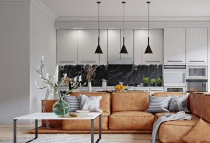 Artigo Locação de imóveis em Santa Catarina: o que está acontecendo na região em 2025?