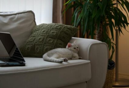 Artigo Imóveis compactos x imóveis maiores: tendência ou fase?