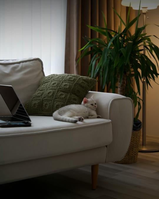 Artigo Imóveis compactos x imóveis maiores: tendência ou fase?